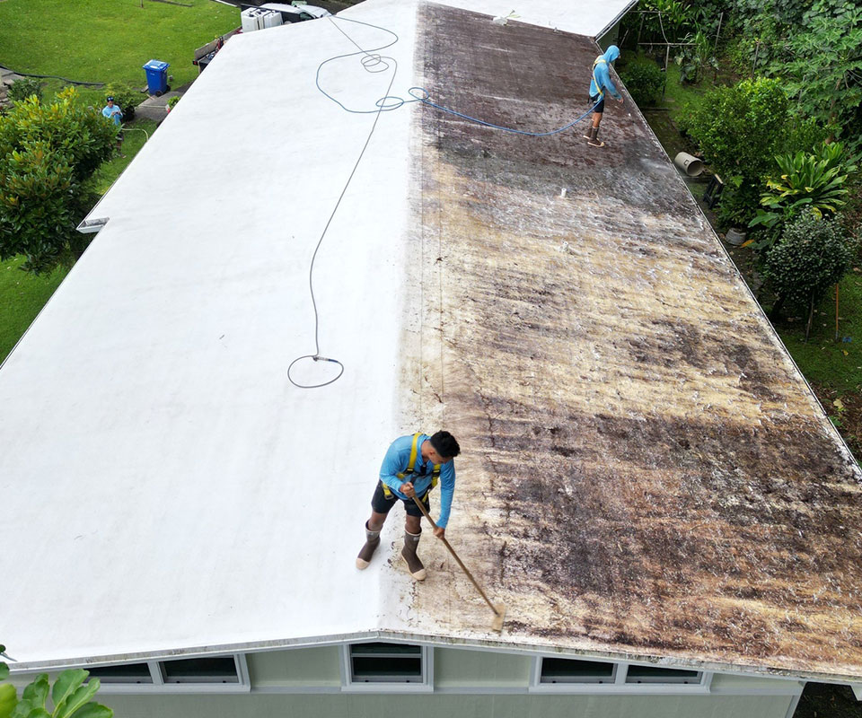image of Soft washing a roof
